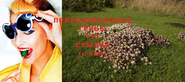 мдма Гусиноозёрск
