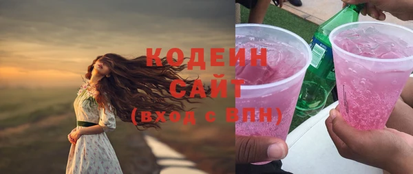 стаф Гусь-Хрустальный