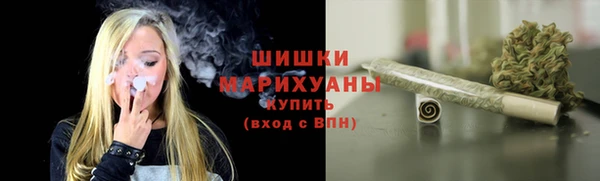 стаф Гусь-Хрустальный