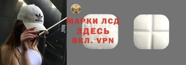 стаф Гусь-Хрустальный
