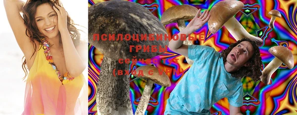 стаф Гусь-Хрустальный