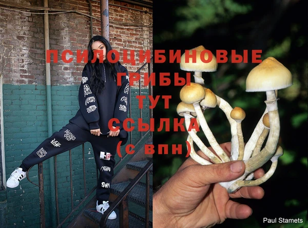 а пвп мука Гусев