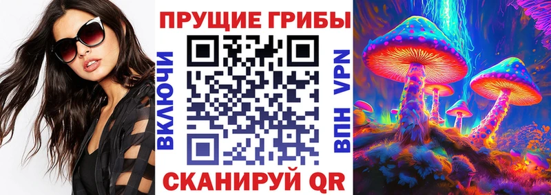 Псилоцибиновые грибы мухоморы  Купить где  Минеральные Воды 